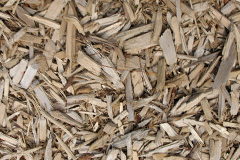 biomass boilers Whinfield